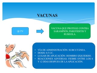  TV
VACUNA QUE PROTEGE CONTRA
SARAMPIÓN, PAROTIDITIS Y
RUBEOLA.
• VÍA DE ADMINISTRACIÓN: SUBCUTÁNEA.
• DOSIS: 0.5 CC.
• LUGAR DE APLICACIÓN: HOMBRO IZQUIERDO.
• REACCIONES ADVERSAS: FIEBRE ENTRE LOS 6
Y 12 DÍAS DESPUES DE LAAPLICACIÓN.
 
