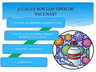 ¿CUALES SON LOS TIPOS DE
VACUNAS?
 VACUNAS DE MICROORGANISMOS VIVOS.
 VACUNAS DE MICROORGANISMOS
MUERTOS O INACTIVOS.
 TOXOIDE O ANATOXINA.
 ANTITOXINA.
 
