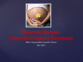 Desarrollo Humano
Desarrollo Prenatal y Nacimiento
Mtra. Esmeralda Garrido Torres
Dic 2013

 