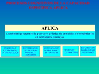 APLICA Capacidad que permite la puesta en práctica de principios o conocimientos en actividades concretas  PROCESOS COGNITIVOS DE LA CAPACIDAD  ESPECÍFICA APLICA BUSQUEDA Y RECEPCION DE LA INFORMACIÓN IDENTIFICACIÓN  DEL PROCESO, PRINCIPIO O  CONCEPTO SECUENCIACIÓN DE PROCESOS Y  ESTRATEGIAS EJECUCIÓN  DE LOS PROCESOS REFLEXIÓN DE LOS PROCESOS EJECUTADOS 