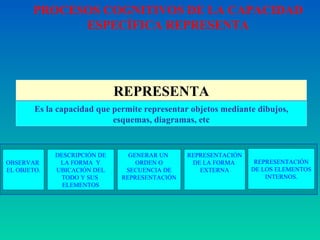 REPRESENTA Es la capacidad que permite representar objetos   mediante dibujos, esquemas, diagramas, etc DESCRIPCIÓN DE LA FORMA  Y UBICACIÓN DEL TODO Y SUS  ELEMENTOS OBSERVAR  EL OBJETO. GENERAR UN  ORDEN O SECUENCIA DE REPRESENTACIÓN REPRESENTACIÓN DE LA FORMA  EXTERNA REPRESENTACIÓN DE LOS ELEMENTOS INTERNOS. PROCESOS COGNITIVOS DE LA CAPACIDAD ESPECÍFICA REPRESENTA 