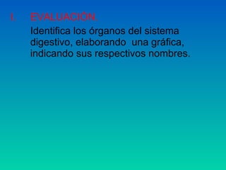 EVALUACIÓN. Identifica los órganos del sistema digestivo, elaborando  una gráfica, indicando sus respectivos nombres. 