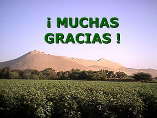 ¡ MUCHAS GRACIAS ! 