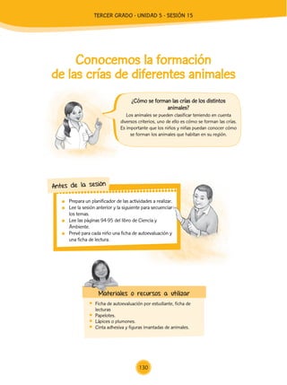 Prepara un planificador de las actividades a realizar.
	 Lee la sesión anterior y la siguiente para secuenciar
los temas.
	 Lee las páginas 94-95 del libro de Ciencia y
Ambiente.
	 Prevé para cada niño una ficha de autoevaluación y
una ficha de lectura.
Antes de la sesión
Conocemos la formación
de las crías de diferentes animales
	 Ficha de autoevaluación por estudiante, ficha de
lecturas
	Papelotes.
	 Lápices o plumones.
	 Cinta adhesiva y figuras imantadas de animales.
Materiales o recursos a utilizar
Los animales se pueden clasificar teniendo en cuenta
diversos criterios, uno de ello es cómo se forman las crías.
Es importante que los niños y niñas puedan conocer cómo
se forman los animales que habitan en su región.
¿Cómo se forman las crías de los distintos
animales?
130
TERCER Grado - Unidad 5 - Sesión 15
Z_U5_INTEGRADOS_3er grado26-06_Pg21-238.indd 130 30/06/15 02:29
 