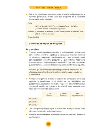 En grupo clase
	 Comenta que ahora debemos establecer qué actividades realizaremos
para verificar nuestras hipótesis o respuestas iniciales. Formula
las siguientes preguntas complementarias: ¿qué podemos hacer
para responder a nuestras preguntas?, ¿qué podemos hacer para
enterarnos acerca de cómo nacen los animales? Pide a los estudiantes
queescribanunasecuenciadeaccionespararesponderalaspreguntas.
	 Pídeles que organicen la lista de actividades empleando el cuadro
siguiente y pregúntales: ¿con cuáles de las actividades nos
quedaremos?, ¿cuáles nos ayudarán a responder claramente nuestras
preguntas?, ¿cuáles se refieren a lo mismo?, ¿qué necesitaremos
hacer para realizar estas actividades?
Elaboración de un plan de indagación
	 Pide a los estudiantes que redacten en el cuaderno las preguntas e
hipótesis planteadas. Puedes usar este diagrama en el cuaderno
donde registran las hipótesis.
Fecha:
Tipos de animales según la formación de las crías
¿Todos los animales nacen como el guanaco?
Problema: ¿Cómo nacen los animales? ¿Cuánto tiempo tardarán en nacer sus crías?
	 ¿Dónde se forman sus crías?
Respuesta inicial: ___________________________________________.
Recuerda que los animales se clasifican según diversos criterios; uno de
ellos es su desarrollo embrionario, así tenemos a los vivíparos, ovíparos
y ovovivíparos.
¿Qué
haremos?
¿Cómo lo
haremos?
¿Qué
necesitaremos?
1° actividad
2° actividad
3° actividad
	 Que cada grupo proceda según lo planificado. Acompáñalos de cerca
para que ejecuten las acciones previstas.
	 Pídeles que tomen nota de la información que les ayudará a demostrar
sus hipótesis.
Tercer Grado - Unidad 5 - Sesión 15
133
Z_U5_INTEGRADOS_3er grado26-06_Pg21-238.indd 133 30/06/15 02:29
 