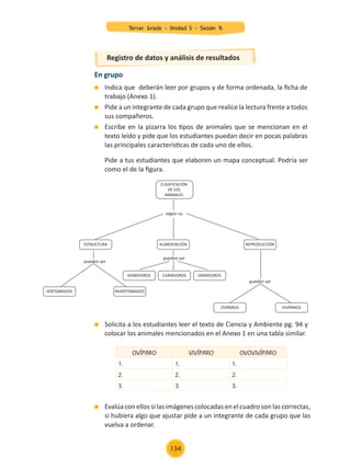 Evalúa con ellos si las imágenes colocadas en el cuadro son las correctas,
si hubiera algo que ajustar pide a un integrante de cada grupo que las
vuelva a ordenar.
Registro de datos y análisis de resultados
En grupo
	 Indica que deberán leer por grupos y de forma ordenada, la ficha de
trabajo (Anexo 1).
	 Pide a un integrante de cada grupo que realice la lectura frente a todos
sus compañeros.
	 Escribe en la pizarra los tipos de animales que se mencionan en el
texto leído y pide que los estudiantes puedan decir en pocas palabras
las principales características de cada uno de ellos.
OVÍPARO VIVÍPARO OVOVIVÍPARO
1. 1. 1.
2. 2. 2.
3. 3. 3.
	 Solicita a los estudiantes leer el texto de Ciencia y Ambiente pg. 94 y
colocar los animales mencionados en el Anexo 1 en una tabla similar.
CLASIFICACIÓN
DE LOS
ANIMALES
ESTRUCTURA
VERTEBRADOS INVERTEBRADOS
OVÍPAROS
HERBÍVOROS CARNÍVOROS OMNÍVOROS
VIVÍPAROS
ALIMENTACIÓN REPRODUCCIÓN
según su
pueden ser
pueden ser
pueden ser
	 Pide a tus estudiantes que elaboren un mapa conceptual. Podría ser
como el de la figura.
Tercer Grado - Unidad 5 - Sesión 15
134
Z_U5_INTEGRADOS_3er grado26-06_Pg21-238.indd 134 30/06/15 02:29
 