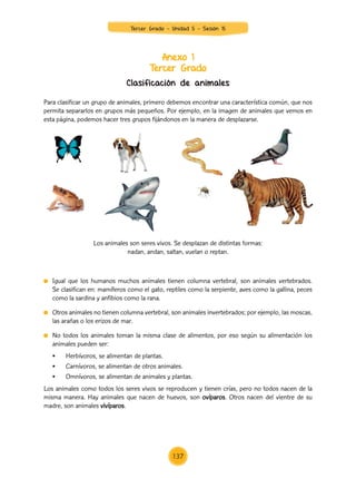 Anexo 1
Tercer Grado
Clasificación de animales
	 Igual que los humanos muchos animales tienen columna vertebral, son animales vertebrados.
Se clasifican en: mamíferos como el gato, reptiles como la serpiente, aves como la gallina, peces
como la sardina y anfibios como la rana.
	 Otros animales no tienen columna vertebral, son animales invertebrados; por ejemplo, las moscas,
las arañas o los erizos de mar.
	 No todos los animales toman la misma clase de alimentos, por eso según su alimentación los
animales pueden ser:
	 •	 Herbívoros, se alimentan de plantas.
	 •	 Carnívoros, se alimentan de otros animales.
	 •	 Omnívoros, se alimentan de animales y plantas.
Los animales como todos los seres vivos se reproducen y tienen crías, pero no todos nacen de la
misma manera. Hay animales que nacen de huevos, son ovíparos. Otros nacen del vientre de su
madre, son animales vivíparos.
Para clasificar un grupo de animales, primero debemos encontrar una característica común, que nos
permita separarlos en grupos más pequeños. Por ejemplo, en la imagen de animales que vemos en
esta página, podemos hacer tres grupos fijándonos en la manera de desplazarse.
Los animales son seres vivos. Se desplazan de distintas formas:
nadan, andan, saltan, vuelan o reptan.
Tercer Grado - Unidad 5 - Sesión 15
137
Z_U5_INTEGRADOS_3er grado26-06_Pg21-238.indd 137 30/06/15 02:29
 