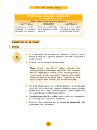 Da la bienvenida a los estudiantes y comenta lo realizado la sesión
anterior a través de la siguiente pregunta: ¿qué tema trabajamos la
sesión anterior?
	 Presenta a los estudiantes el siguiente caso:
	 Pide a los estudiantes que respondan las siguientes preguntas: ¿qué
opinas de la noticia planteada?, ¿por qué no deberían traerse animales
de otras zonas para su venta y comercialización? Escribe las respuestas
más resaltantes que brindan los estudiantes.
	 Comunicaelpropósitodelasesión:conocerlosfactoresquenecesitan
los animales para su crecimiento y desarrollo.
	 Recuerda a los estudiantes que las normas de convivencia están
presentes en todas las sesiones.
Momentos de la sesión
10
minutos
INICIO
1.
COMPETENCIA(S), CAPACIDAD(ES) E INDICADOR(ES)
A TRABAJAR EN LA SESIÓN
ÁREA CURRICULAR DE CIENCIA Y AMBIENTE
COMPETENCIAS CAPACIDADES INDICADORES
Construye una posición
crítica sobre la ciencia y la
tecnología en la sociedad.
Toma una posición crítica
frente a situaciones socio-
científicas.
Expresa su opinión respecto
al impacto de las personas
en la vida de los animales.
Aduana encuentra escondido en maletas, mariposas, loros
guacamayos muertos en Aeropuerto Jorge Chávez: “Ante constantes
denuncias sobre tráfico de animales, la policía hizo un seguimiento y
encontró que los animales eran envueltos en papel periódico o telas
y colocados dentro de las maletas para su comercialización en la
capital. La mayoría de los animales fueron encontrados muertos”
Tercer Grado - Unidad 5 - Sesión 16
139
Z_U5_INTEGRADOS_3er grado26-06_Pg21-238.indd 139 30/06/15 02:29
 
