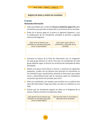 Comienza la lectura de la ficha de información con un integrante
de cada grupo (lectura en serie). Para ello, los estudiantes de cada
grupo deberán seguir la lectura con la técnica del subrayado de ideas
principales.
	 Realiza una pausa entre lectura y lectura y menciona las siguientes
preguntas: ¿cuáles son los factores que permiten el crecimiento en
los animales?,¿que características presenta la llama para que pueda
crecer y desarrollarse?,¿por qué es necesario saber las condiciones
necesarias que tienen los animales para vivir?
	 Pide a los estudiantes, por equipos, que escriban en su cuaderno dos
ideas del texto leído y luego que elijan una idea y la redacten en una
hoja.
	 Solicita que los estudiantes peguen las ideas en el diagrama de la
pizarra. Podrías encontrar las siguientes ideas:
En grupo
Revisando información
	 Indica que deben leer su libro de Ciencia y Ambiente página 95 sobre
los factores que permiten el desarrollo y crecimiento de los animales.
	 Antes de la lectura pega en la pizarra el siguiente diagrama, y con
la colaboración de los estudiantes completa la primera y segunda
columna del diagrama.
Registro de datos y análisis de resultados
¿Qué sé de los factores que
necesitan los animales para poder
crecer y desarrollarse?
¿Qué quiero saber sobre el
crecimiento y desarrollo de los
animales?
¿Qué aprendí de los factores que
necesitan los animales para poder
crecer y desarrollarse?
¿Qué aprendí sobre el crecimiento y
desarrollo de los animales?
Tercer Grado - Unidad 5 - Sesión 16
142
Z_U5_INTEGRADOS_3er grado26-06_Pg21-238.indd 142 30/06/15 02:29
 