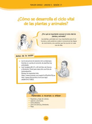 ¿Cómo se desarrolla el ciclo vital
de las plantas y animales?
	 Papelotes y hojas de colores.
	 Lápices o plumones.
	 Cinta adhesiva.
	 Libro de Ciencia y Ambiente.
	Papa.
Materiales o recursos a utilizar
	 Lee la secuencia de sesiones de la unidad para
tenerlas en cuenta al momento de planificar las
actividades.
	 Leer la página 80, 81 y 83 del libro de Ciencia
y Ambiente. Prevé para cada niño una ficha de
autoevaluación.
	 Revisar los siguientes links
	 https://www.youtube.com/watch?v=Z5xHHe70Lsw
	http://www.educarchile.cl/ech/pro/app/
detalle?id=216803
Antes de la sesión
Las plantas y animales son muy importantes para el ser
humano y solo podemos cuidar si conocemos las etapas
de crecimiento y los cambios que les ocurren en cada
una de ellas.
¿Por qué es importante conocer el ciclo vital de
plantas y animales?
150
TERCER Grado - Unidad 5 - Sesión 17
Z_U5_INTEGRADOS_3er grado26-06_Pg21-238.indd 150 6/07/15 17:27
 