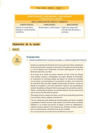 En grupo clase
	 Saluda cordialmente, muestra una papa y cuenta la siguiente historia:
Momentos de la sesión
10
minutos
INICIO
1.
COMPETENCIA(S), CAPACIDAD(ES) E INDICADOR(ES)
A TRABAJAR EN LA SESIÓN
ÁREA CURRICULAR DE CIENCIA Y AMBIENTE
COMPETENCIAS CAPACIDADES INDICADORES
Explica el mundo físico,
basado en conocimientos
científicos.
Analiza datos o información. Explica las etapas del
ciclo de vida de plantas y
animales.
Cuenta una vieja leyenda del tiempo de los incas que los hombres cultivadores
de la quinua dominaron durante muchos años a los pueblos de las tierras altas
y, a fin de dejarlos morir lentamente, les fueron disminuyendo la ración de
alimentos para ellos y sus hijos.
Ya al borde de la muerte los pobres clamaron al cielo y Dios les entregó
unas semillas carnosas y redondeadas, las cuales, después de sembradas,
se convirtieron en hermosas plantas que tiñeron de morado las montañas
con sus flores. Los dominadores no se opusieron al cultivo, con la intención
de cosecharlo todo para ellos, llegada la oportunidad. En efecto, cuando las
plantas se amarillaron y los frutos parecieron maduros, los conquistadores
cortaron las plantas y se llevaron todo lo que juzgaron era una óptima cosecha.
Tristes y moribundos de hambre, los vencidos pidieron otra vez clemencia al
cielo y una voz les dijo desde las alturas:
“Remuevan la tierra y saquen los frutos, que allí los he escondido para burlar
a los hombres malos y enaltecer a los buenos”.
Y así fue, debajo del suelo estaban las hermosas papas, que fueron recogidas
y guardadas en estricto secreto. Cada mañana, los hombres de las montañas
añadieron a su comida una porción de papas y pronto se restablecieron,
cobraron fuerzas y atacaron a los invasores que, viéndose vencidos, huyeron
para no regresar jamás a perturbar la paz de las montañas.
http://www.agroancash.gob.pe/public/articulos/aip2008/temas/origen.html
Tercer Grado - Unidad 5 - Sesión 17
151
Z_U5_INTEGRADOS_3er grado26-06_Pg21-238.indd 151 30/06/15 02:29
 