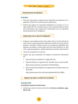 En grupos
	 Pide que cada grupo se organice para responder las preguntas en un
papelote, brinda cinco minutos para la elaboración.
	 Solicita que peguen las respuestas (hipótesis) en la pizarra o en un
lugar visible del aula. Considera que en este momento todas las ideas
son importantes y que luego serán contrastadas con las respuestas
finales producto de la indagación.
	 Pregunta: ¿qué podemos hacer para saber cuál es el ciclo vital de los
seres vivos? y ¿qué semejanzas y diferencias habrá en el ciclo vital de
plantas y animales? Puedes orientar sus respuestas diciéndoles que
elijamos una planta y animal típico del Perú para identificar su ciclo
vital. Luego les preguntas: ¿dónde podríamos encontrar información?
	 Anota las respuestas en la pizarra.
	 Sugiere que para comprobar las hipótesis revisaremos información
de:
	 •	 Libro de Ciencia y Ambiente 3° página 80 y 81.
	 •	 Opcional Video en el siguiente link: (Pueden hacer uso de las XO)
		 https://www.youtube.com/watch?v=Z5xHHe70Lsw
	 •	 Recurso interactivo alojado en el siguiente link: (Pueden hacer uso
	 de las XO)
		 http://www.educarchile.cl/ech/pro/app/detalle?id=216803
Planteamiento de hipótesis
Elaboración de un plan de indagación
En grupo clase
Consultamos fuentes de información
	 Solicita que realicen la lectura del libro de Ciencia y Ambiente, págs.
80, 81 y 83.
Registro de datos y análisis de resultados
Tercer Grado - Unidad 5 - Sesión 17
153
Z_U5_INTEGRADOS_3er grado26-06_Pg21-238.indd 153 30/06/15 02:30
 