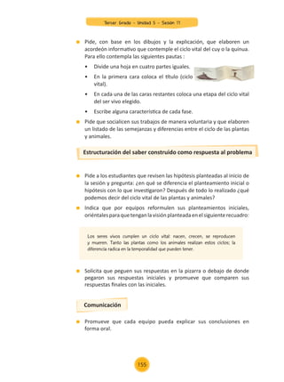 Pide, con base en los dibujos y la explicación, que elaboren un
acordeón informativo que contemple el ciclo vital del cuy o la quinua.
Para ello contempla las siguientes pautas :
	 •	 Divide una hoja en cuatro partes iguales.
	 •	 En la primera cara coloca el título (ciclo
	 vital).
	 •	 En cada una de las caras restantes coloca una etapa del ciclo vital
	 del ser vivo elegido.
	 •	 Escribe alguna característica de cada fase.
	 Pide que socialicen sus trabajos de manera voluntaria y que elaboren
un listado de las semejanzas y diferencias entre el ciclo de las plantas
y animales.
	 Pide a los estudiantes que revisen las hipótesis planteadas al inicio de
la sesión y pregunta: ¿en qué se diferencia el planteamiento inicial o
hipótesis con lo que investigaron? Después de todo lo realizado ¿qué
podemos decir del ciclo vital de las plantas y animales?
	 Indica que por equipos reformulen sus planteamientos iniciales,
oriéntalesparaquetenganlavisiónplanteadaenelsiguienterecuadro:
Estructuración del saber construido como respuesta al problema
	 Solicita que peguen sus respuestas en la pizarra o debajo de donde
pegaron sus respuestas iniciales y promueve que comparen sus
respuestas finales con las iniciales.
	 Promueve que cada equipo pueda explicar sus conclusiones en
forma oral.
Los seres vivos cumplen un ciclo vital: nacen, crecen, se reproducen
y mueren. Tanto las plantas como los animales realizan estos ciclos; la
diferencia radica en la temporalidad que pueden tener.
Comunicación
Tercer Grado - Unidad 5 - Sesión 17
155
Z_U5_INTEGRADOS_3er grado26-06_Pg21-238.indd 155 30/06/15 02:30
 