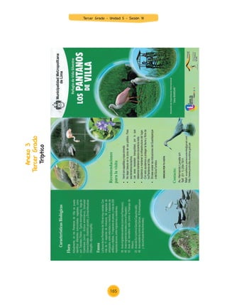 Anexo
3
Tercer
Grado
Trípt
ico
Tercer Grado - Unidad 5 - Sesión 18
165
Z_U5_INTEGRADOS_3er grado26-06_Pg21-238.indd 165 30/06/15 02:30
 