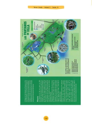 Tercer Grado - Unidad 5 - Sesión 18
166
Z_U5_INTEGRADOS_3er grado26-06_Pg21-238.indd 166 30/06/15 02:30
 