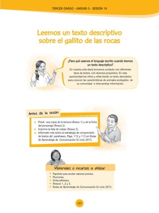 Prevé una copia de la lectura (Anexo 1) y de la ficha
del personaje (Anexo 2).
	 Imprime la lista de cotejo (Anexo 3).
	 Infórmate más sobre la estrategia de comprensión
de textos del parafraseo, Págs. 112 y 113 en Rutas
de Aprendizaje de Comunicación IV ciclo 2015.
Antes de la sesión
Leemos un texto descriptivo
sobre el gallito de las rocas
	 Papelote para anotar saberes previos.
	Plumones.
	 Cinta adhesiva.
	 Anexos 1, 2 y 3.
	 Rutas de Aprendizaje de Comunicación IV ciclo 2015.
Materiales o recursos a utilizar
En nuestra vida diaria tomamos contacto con diferentes
tipos de textos, con diversos propósitos. En esta
oportunidad los niños y niñas leerán un texto descriptivo
para conocer las características de animales protegidos de
su comunidad e intercambiar información.
¿Para qué usamos el lenguaje escrito cuando leemos
un texto descriptivo?
167
TERCER Grado - Unidad 5 - Sesión 19
Z_U5_INTEGRADOS_3er grado26-06_Pg21-238.indd 167 30/06/15 02:30
 