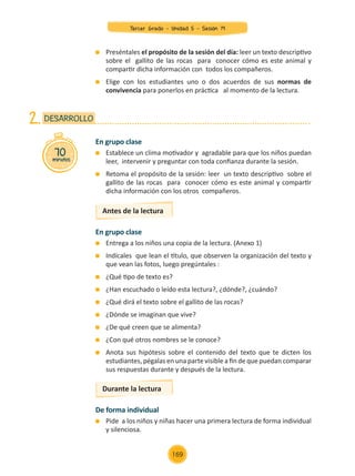Preséntales el propósito de la sesión del día: leer un texto descriptivo
sobre el gallito de las rocas para conocer cómo es este animal y
compartir dicha información con todos los compañeros.
	 Elige con los estudiantes uno o dos acuerdos de sus normas de
convivencia para ponerlos en práctica al momento de la lectura.
En grupo clase
	 Establece un clima motivador y agradable para que los niños puedan
leer, intervenir y preguntar con toda confianza durante la sesión.
	 Retoma el propósito de la sesión: leer un texto descriptivo sobre el
gallito de las rocas para conocer cómo es este animal y compartir
dicha información con los otros compañeros.
En grupo clase
	 Entrega a los niños una copia de la lectura. (Anexo 1)
	 Indícales que lean el título, que observen la organización del texto y
que vean las fotos, luego pregúntales :
	 ¿Qué tipo de texto es?
	 ¿Han escuchado o leído esta lectura?, ¿dónde?, ¿cuándo?
	 ¿Qué dirá el texto sobre el gallito de las rocas?
	 ¿Dónde se imaginan que vive?
	 ¿De qué creen que se alimenta?
	 ¿Con qué otros nombres se le conoce?
	 Anota sus hipótesis sobre el contenido del texto que te dicten los
estudiantes, pégalas en una parte visible a fin de que puedan comparar
sus respuestas durante y después de la lectura.
De forma individual
	 Pide a los niños y niñas hacer una primera lectura de forma individual
y silenciosa.
70
minutos
DESARROLLO
2.
Antes de la lectura
Durante la lectura
Tercer Grado - Unidad 5 - Sesión 19
169
Z_U5_INTEGRADOS_3er grado26-06_Pg21-238.indd 169 30/06/15 02:30
 