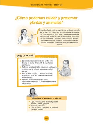 Lee la secuencia de sesiones de la unidad para
tenerlas en cuenta al momento de planificar las
actividades.
	 Pedir con anticipación a los estudiantes que traigan
revistas, hojas de colores, figuras de animales y
plantas.
	 Leer las págs. 92, 98 y 99 del libro de Ciencia
y Ambiente. Prevé para cada niño una ficha de
autoevaluación.
	 Revisar la siguiente información http://
creacionliteraria.net/2012/05/el-aficheestructura-e-
importancia/
Antes de la sesión
	 Lápiz, borrador, goma, revistas, figuras de
animales y plantas, y colores.
	 Papelotes y plumones.
	 Libro de Ciencia y Ambiente 3° grado de
Educación Primaria.
Materiales o recursos a utilizar
En nuestro planeta existe un gran número de plantas y animales
que de una u otra manera son beneficiosos para nuestra vida.
Sin embargo, muchas veces nuestra irresponsabilidad y falta
de respeto por la vida hace que constantemente, realicemos
acciones que dañan y destruyen nuestro entorno, animales,
plantas y ecosistemas completos. Situación que debemos
corregir por respeto a los demás seres vivos y a nosotros
mismos.
¿Cómo podemos cuidar y preservar
plantas y animales?
175
TERCER Grado - Unidad 5 - Sesión 20
Z_U5_INTEGRADOS_3er grado26-06_Pg21-238.indd 175 30/06/15 02:30
 