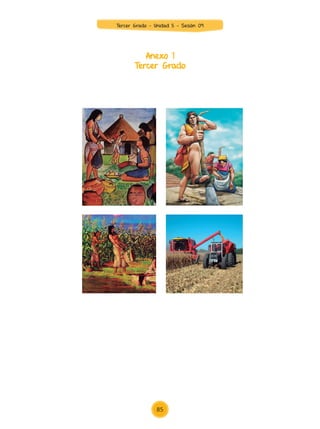 Anexo 1
Tercer Grado
85
Tercer Grado - Unidad 5 - Sesión 09
Z_U5_INTEGRADOS_3er grado26-06_Pg21-238.indd 85 30/06/15 02:28
 