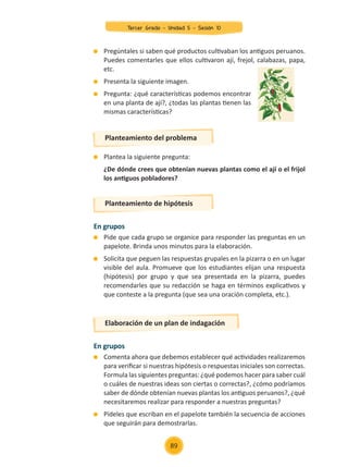 Plantea la siguiente pregunta:
	 ¿De dónde crees que obtenían nuevas plantas como el ají o el frijol
los antiguos pobladores?
	 Pregúntales si saben qué productos cultivaban los antiguos peruanos.
Puedes comentarles que ellos cultivaron ají, frejol, calabazas, papa,
etc.
	 Presenta la siguiente imagen.
	 Pregunta: ¿qué características podemos encontrar
en una planta de ají?, ¿todas las plantas tienen las
mismas características?
En grupos
	 Pide que cada grupo se organice para responder las preguntas en un
papelote. Brinda unos minutos para la elaboración.
	 Solicita que peguen las respuestas grupales en la pizarra o en un lugar
visible del aula. Promueve que los estudiantes elijan una respuesta
(hipótesis) por grupo y que sea presentada en la pizarra, puedes
recomendarles que su redacción se haga en términos explicativos y
que conteste a la pregunta (que sea una oración completa, etc.).
En grupos
	 Comenta ahora que debemos establecer qué actividades realizaremos
para verificar si nuestras hipótesis o respuestas iniciales son correctas.
Formula las siguientes preguntas: ¿qué podemos hacer para saber cuál
o cuáles de nuestras ideas son ciertas o correctas?, ¿cómo podríamos
saber de dónde obtenían nuevas plantas los antiguos peruanos?, ¿qué
necesitaremos realizar para responder a nuestras preguntas?
	 Pídeles que escriban en el papelote también la secuencia de acciones
que seguirán para demostrarlas.
Planteamiento del problema
Planteamiento de hipótesis
Elaboración de un plan de indagación
89
Tercer Grado - Unidad 5 - Sesión 10
Z_U5_INTEGRADOS_3er grado26-06_Pg21-238.indd 89 30/06/15 02:28
 