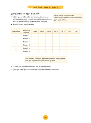 ¿Cómo cambian con el paso de los días?:
•	 Ahora que ya están listas las muestras, separa unos
	 minutos diariamente y pide a tus estudiantes que tomen
	 nota de los cambios en cada una de las muestras.
•	 Pueden usar la siguiente tabla:
1.	 ¿Cómo han ido cambiando cada uno de los tres casos?
2.	 ¿Por qué crees que cada caso tiene un comportamiento particular?
Experiencias
Número de
muestras
Día 1 Día 2 Día 3 Día 4 Día 5 Día 6 Día 7
1
Muestra 1
Muestra 2
2
Muestra 3
Muestra 4
3
Muestra 5
Muestra 6
Este formato lo puedes trabajar en una hoja A4 horizontal
para que haya espacio paras tomar apuntes
No te olvides de dibujar cada
observación, usa tu cuaderno de campo
para los registros.
96
Tercer Grado - Unidad 5 - Sesión 10
Z_U5_INTEGRADOS_3er grado26-06_Pg21-238.indd 96 30/06/15 02:28
 
