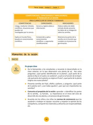 En grupo clase
	 Da la bienvenida a los estudiantes y recuerda lo desarrollado en la
clase anterior, en la que observaron una planta de ají. Haz estas
preguntas: ¿qué partes identificaste en la planta?, ¿qué parte de la
planta la fija en el suelo y la sostiene?, ¿cuál es la función de la hoja?,
¿de qué parte de la planta se origina el fruto?, ¿qué parte de la planta
origina una nueva planta?
	 Presenta semillas de frijol, alfalfa y pallares, y pregunta: ¿qué parte
de la planta son?, ¿son todas iguales?, ¿por qué son importantes las
semillas?
	 Comunica el propósito de la sesión: aprender a identificar las partes
de la semilla, su función, su importancia en el inicio del ciclo de
desarrollo de una planta, y el proceso de germinación.
	 Acuerda con los niños y las niñas las normas de convivencia que los
ayudarán a trabajar en equipo: escuchar y respetar la opinión de los
compañeros,compartirlosmaterialesyutilizarlosconresponsabilidad,
etc.
Momentos de la sesión
10
minutos
INICIO
1.
COMPETENCIA(S), CAPACIDAD(ES) E INDICADOR(ES)
A TRABAJAR EN LA SESIÓN
ÁREA CURRICULAR DE CIENCIA Y AMBIENTE
COMPETENCIAS CAPACIDADES INDICADORES
Indaga, mediante métodos
científicos, situaciones que
pueden ser
investigadas por la ciencia.
Genera y registra datos e
información.
Elabora tablas de doble
entrada donde presenta
los datos de su indagación
sobre las semillas.
Explica el mundo físico,
basado en conocimientos
científicos.
Comprende y aplica
conocimientos
científicos y argumenta
científicamente.
Relaciona las partes de la
semilla con la función que
cumplen en el proceso de
germinación.
98
Tercer Grado - Unidad 5 - Sesión 11
Z_U5_INTEGRADOS_3er grado26-06_Pg21-238.indd 98 30/06/15 02:28
 