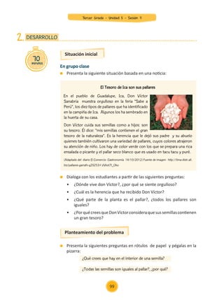 En grupo clase
	 Presenta la siguiente situación basada en una noticia:
	 Dialoga con los estudiantes a partir de las siguientes preguntas:
	 •	 ¿Dónde vive don Víctor?, ¿por qué se siente orgulloso?
	 •	 ¿Cuál es la herencia que ha recibido Don Víctor?
	 •	 ¿Qué parte de la planta es el pallar?, ¿todos los pallares son
	 iguales?
	 •	 ¿PorquécreesqueDonVíctorconsideraquesussemillascontienen
	 un gran tesoro?
	 Presenta la siguientes preguntas en rótulos de papel y pégalas en la
pizarra:
70
minutos
DESARROLLO
2.
Planteamiento del problema
El Tesoro de Ica son sus pallares
En el pueblo de Guadalupe, Ica, Don Víctor
Sanabria muestra orgulloso en la feria “Sabe a
Perú”, los diez tipos de pallares que ha identificado
en la campiña de Ica. Algunos los ha sembrado en
la huerta de su casa.
	
Don Víctor cuida sus semillas como a hijos: son
su tesoro. Él dice: “mis semillas contienen el gran
tesoro de la naturaleza”. Es la herencia que le dejó sus padre y su abuelo
quienes también cultivaron una variedad de pallares, cuyos colores atrajeron
su atención de niño. Los hay de color verde con los que se prepara una rica
ensalada o picante y el pallar seco blanco que es usado en tacu tacu y puré.
	(Adaptado del diario El Comercio Gastronomía 14/10/2012) Fuente de imagen: http://lima-distr.all.
biz/pallares-garrafn-g29253#.VVkxt7l_Oko
¿Qué crees que hay en el interior de una semilla?
¿Todas las semillas son iguales al pallar?, ¿por qué?
Situación inicial
99
Tercer Grado - Unidad 5 - Sesión 11
Z_U5_INTEGRADOS_3er grado26-06_Pg21-238.indd 99 30/06/15 02:28
 