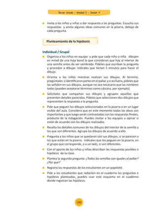 Invita a los niños y niñas a dar respuesta a las preguntas. Escucha sus
respuestas y anota algunas ideas comunes en la pizarra, debajo de
cada pregunta.
Individual / Grupal
	 Organiza a los niños en equipo y pide que cada niño o niña dibujen
en mitad de una hoja bond lo que consideran que hay al interior de
una semilla antes de ser sembrada. Pídeles que escriban la pregunta
y procedan a dibujar. Indícales que tienen 5 minutos para hacer el
dibujo.
	 Orienta a los niños mientras realizan sus dibujos. Al término,
pregúntales siidentificaronpartesenelpallar,ysiasífuera,pídelesque
las señalen en sus dibujos, aunque no sea necesario que las nombren
todas (pueden aceptarse términos como cáscara, por ejemplo).
	 Solicítales que compartan sus dibujos y agrupen aquellos que
presenten detalles parecidos. Pídeles que seleccionen dos dibujos que
representen la respuesta a la pregunta.
	 Pide que peguen los dibujos seleccionados en la pizarra o en un lugar
visible del aula. Considera que en este momento todas las ideas son
importantes y que luego serán contrastadas con las respuestas finales,
producto de la indagación. Puedes invitar a los equipos a opinar si
están de acuerdo con los dibujos realizados.
	 Resalta los detalles comunes de los dibujos del interior de la semilla y
los que son diferentes. Agrupa los dibujos de acuerdo a ello.
	 Pregunta a los niños que se quedaron con sus dibujos, si se parecen a
los que están en la pizarra. Indícales que los peguen en la pizarra, en
el grupo que corresponde, o a un lado, si son diferentes.
	 Con el aporte de los niños y niñas describan las respuestas posibles o
hipótesis de la clase.
	 Plantea la segunda pregunta: ¿Todas las semillas son iguales al pallar?
¿Por qué?
	 Registra las respuestas de los estudiantes en un papelote.
	 Pide a los estudiantes que redacten en el cuaderno las preguntas e
hipótesis planteadas, puedes usar este esquema en el cuaderno
donde registran las hipótesis.
Planteamiento de la hipótesis
100
Tercer Grado - Unidad 5 - Sesión 11
Z_U5_INTEGRADOS_3er grado26-06_Pg21-238.indd 100 30/06/15 02:28
 