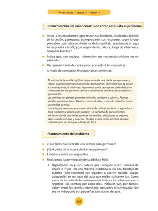 Invita a los estudiantes a que relean sus hipótesis, planteadas al inicio
de la sesión, y pregunta: ¿comprobaron sus respuestas sobre lo que
pensaban que había en el interior de la semilla?, ¿cambiarías en algo
tu respuesta inicial?, ¿qué responderías, ahora, luego de observar y
consultar fuentes?
	 Indica que, por equipos, reformulen sus respuestas iniciales en un
papelote.
	 Un representante de cada equipo presentará las respuestas.
	 A modo de conclusión final podríamos comentar:
	 ¿Qué crees que necesita una semilla para germinar?
	 ¿Qué parte de la nueva planta crece primero?
	 Escucha y anota sus respuestas.
	 Realizamos la germinación de la alfalfa o frijol.
	 •	 Organizados en grupos pídeles que coloquen cuatro semillas de
	 alfalfa o frijol en una maceta cuadrada o en una bandeja de
	 plástico (tipo tecnopor) con algodón o aserrín mojado. Luego,
	 ubíquenlas en un lugar del aula que reciba suficiente luz. Como
	 parte de las actividades permanentes indica a los niños que van a
	 registrar los cambios por cinco días. Indícales que, por turnos,
	 deben regar las semillas interdiario, utilizando el pulverizador del
	 set de hidroponía con pequeñas cantidades de agua.
Estructuración del saber construido como respuesta al problema
Planteamiento del problema
Al interior de la semilla hay todo lo que necesita una planta para germinar y
crecer. Cuando observamos la semilla, distinguimos: el embrión que da origen
a la nueva planta, la cubierta o tegumento que la protege recubriéndola y los
cotiledones en los que se encuentra el alimento de la nueva planta durante la
germinación.
Las semillas, en general, presentan embrión, cotiledón y cubierta. Algunas
semillas presentan dos cotiledones, como el pallar; o un solo cotiledón, como
las semillas de maíz.
Los antiguos peruanos practicaron el arte de cultivar, es decir, la agricultura.
Ellos mediante la observación lograron un conjunto de conocimientos
del desarrollo de las plantas: conocer las semillas, seleccionar las mejores,
saber cuándo sembrar y cosechar. El pallar es una de las primeras semillas
cultivadas por las antiguas culturas del Perú.
104
Tercer Grado - Unidad 5 - Sesión 11
Z_U5_INTEGRADOS_3er grado26-06_Pg21-238.indd 104 30/06/15 02:29
 