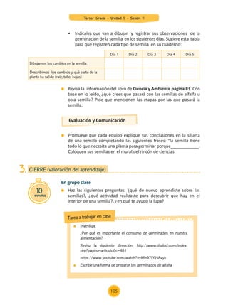 Revisa la información del libro de Ciencia y Ambiente página 83. Con
base en lo leído, ¿qué crees que pasará con las semillas de alfalfa u
otra semilla? Pide que mencionen las etapas por las que pasará la
semilla.
	 Promueve que cada equipo explique sus conclusiones en la silueta
de una semilla completando las siguientes frases: “la semilla tiene
todo lo que necesita una planta para germinar porque____________.
Coloquen sus semillas en el mural del rincón de ciencias.
Evaluación y Comunicación
	 •	 Indícales que van a dibujar y registrar sus observaciones de la
	 germinación de la semilla en los siguientes días. Sugiere esta tabla
	 para que registren cada tipo de semilla en su cuaderno:
Día 1 Día 2 Día 3 Día 4 Día 5
Dibujamos los cambios en la semilla.
Describimos los cambios y qué parte de la
planta ha salido (raíz, tallo, hojas)
En grupo clase
	 Haz las siguientes preguntas: ¿qué de nuevo aprendiste sobre las
semillas?, ¿qué actividad realizaste para descubrir que hay en el
interior de una semilla?, ¿en qué te ayudó la lupa?
10
minutos
CIERRE (valoración del aprendizaje)
3.
	Investiga:
	 ¿Por qué es importante el consumo de germinados en nuestra
alimentación?
	 Revisa la siguiente dirección: http://www.dsalud.com/index.
php?pagina=articulo&c=481
	https://www.youtube.com/watch?v=Mn97EQ58vyk
	 Escribe una forma de preparar los germinados de alfalfa
Tarea a trabajar en casa
105
Tercer Grado - Unidad 5 - Sesión 11
Z_U5_INTEGRADOS_3er grado26-06_Pg21-238.indd 105 30/06/15 02:29
 