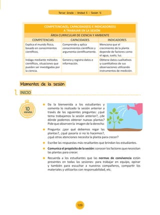 Da la bienvenida a los estudiantes y
comenta lo realizado la sesión anterior a
través de las siguientes preguntas: ¿qué
tema trabajamos la sesión anterior?, ¿de
dónde podemos obtener nuevas plantas?
Pide que observen la imagen de la derecha:
	 Pregunta: ¿por qué debemos regar las
plantas?, ¿qué pasaría si no lo hacemos?,
¿qué otras atenciones necesita la planta para crecer?
	 Escribe las respuestas más resaltantes que brindan los estudiantes.
	 Comunicaelpropósitodelasesión:conocerlosfactoresquenecesitan
las plantas para crecer.
	 Recuerda a los estudiantes que las normas de convivencia están
presentes en todas las sesiones: para trabajar en equipo, opinar
y también para escuchar a nuestros compañeros, compartir los
materiales y utilizarlos con responsabilidad, etc.
Momentos de la sesión
10
minutos
INICIO
1.
COMPETENCIA(S), CAPACIDAD(ES) E INDICADOR(ES)
A TRABAJAR EN LA SESIÓN
ÁREA CURRICULAR DE CIENCIA Y AMBIENTE
COMPETENCIAS CAPACIDADES INDICADORES
Explica el mundo físico,
basado en conocimientos
científicos.
Comprende y aplica
conocimientos científicos y
argumenta científicamente.
Menciona que el
crecimiento de la planta
depende de factores como
el agua, suelo, luz.
Indaga mediante métodos
científicos, situaciones que
pueden ser investigadas por
la ciencia.
Genera y registra datos e
información.
Obtiene datos cualitativos
y cuantitativos de sus
observaciones utilizando
instrumentos de medición.
Tercer Grado - Unidad 5 - Sesión 12
109
Z_U5_INTEGRADOS_3er grado26-06_Pg21-238.indd 109 30/06/15 02:29
 
