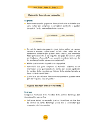 Formula las siguientes preguntas: ¿qué deben realizar para poder
demostrar vuestras explicaciones?, ¿cómo saber cuáles son las
condiciones necesarias para que una planta crezca?, ¿qué podríamos
hacer para responder a las preguntas del papá de Gabriel?, ¿nos
serviría buscar información?, ¿qué parecido tendrá con la siembra de
las semillas de lentejas que estamos trabajando?.
	 Pídeles que anoten sus respuestas en un papelote.
	 Coméntales que para comprobar su hipótesis deberán buscar
información sobre qué necesitan las plantas para crecer, registrarán
los cambios de las muestras que hicieron de las plantas hace días y
luego extraerán conclusiones.
	 ¿Creen que los datos que han estado recogiendo les puedan servir
para dar respuesta a sus preguntas?
Elaboración de un plan de indagación
Registro de datos y análisis de resultado
En grupos
	 Menciona a todos los grupos que deben planificar las actividades que
van a realizar para comprobar si sus hipótesis planteadas se pueden
demostrar. Puedes sugerir el siguiente esquema:
En grupo
Recogiendo resultados de las muestras de las semillas de lentejas con
tierra de cultivo y arena fina
	 Indica que revisen los resultados que han obtenido de los siete días
de observar las plantas de lentejas (anexo 2 de la sesión 10) y que
respondan a las interrogantes:
¿Qué haremos? ¿Cómo lo haremos?
1° actividad
2° actividad
Tercer Grado - Unidad 5 - Sesión 12
111
Z_U5_INTEGRADOS_3er grado26-06_Pg21-238.indd 111 30/06/15 02:29
 
