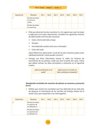 Pide que observen las dos muestras (1 y 2), sugiere que usen las lupas
y regla para una mejor observación, considera los siguientes criterios
de observación entre las dos muestras:
	 •	 Color y forma del tallo y hojas
	 •	 Tamaño
	 •	 Humedad del suelo(si está seco o húmedo)
	 •	 Color del suelo
	 ¿Qué diferencias observaste? ¿Cuál de las dos muestras pudo crecer
satisfactoriamente? ¿Qué puedes concluir?
	 Entrega una ficha informativa (anexo 1) sobre los factores de
crecimiento de las plantas y pide que lean la parte del suelo. Indica
que deben extraer las ideas principales y colocarlas en el siguiente
cuadro:
Recogiendo resultados de muestras de plantas en ausencia y presencia
de luz
	 Pídeles que revisen los resultados que han obtenido de los siete días
de observar el crecimiento de las semillas de lentejas (Anexo de la
sesión 10) y que respondan a las interrogantes:
Experiencia Muestras Día 1 Día 2 Día 3 Día 4 Día 5 Día 6 Día 7
1 Semilla de lenteja
en tierra de
cultivo.
Semilla de lenteja
en arena fina.
Experiencia Muestras Día 1 Día 2 Día 3 Día 4 Día 5 Día 6 Día 7
2 Semilla de lenteja
en ausencia de
luz (Muestra 3).
Semilla de lenteja
en presencia de
luz (Muestra 4).
¿Qué encontramos en el
suelo?
¿Qué ocurre si el suelo no
tiene nutrientes necesarios?
Tercer Grado - Unidad 5 - Sesión 12
112
Z_U5_INTEGRADOS_3er grado26-06_Pg21-238.indd 112 30/06/15 02:29
 