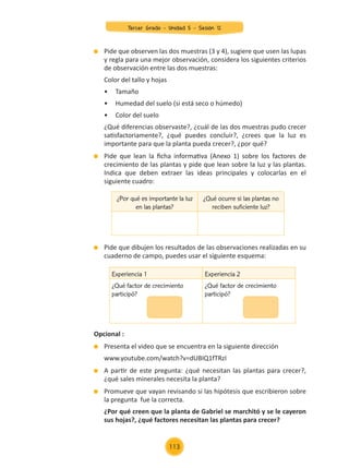 Pide que observen las dos muestras (3 y 4), sugiere que usen las lupas
y regla para una mejor observación, considera los siguientes criterios
de observación entre las dos muestras:
	 Color del tallo y hojas
	 •	 Tamaño
	 •	 Humedad del suelo (si está seco o húmedo)
	 •	 Color del suelo
	 ¿Qué diferencias observaste?, ¿cuál de las dos muestras pudo crecer
satisfactoriamente?, ¿qué puedes concluir?, ¿crees que la luz es
importante para que la planta pueda crecer?, ¿por qué?
	 Pide que lean la ficha informativa (Anexo 1) sobre los factores de
crecimiento de las plantas y pide que lean sobre la luz y las plantas.
Indica que deben extraer las ideas principales y colocarlas en el
siguiente cuadro:
	 Pide que dibujen los resultados de las observaciones realizadas en su
cuaderno de campo, puedes usar el siguiente esquema:
Opcional :
	 Presenta el video que se encuentra en la siguiente dirección
	 www.youtube.com/watch?v=dUBIQ1fTRzI
	 A partir de este pregunta: ¿qué necesitan las plantas para crecer?,
¿qué sales minerales necesita la planta?
	 Promueve que vayan revisando si las hipótesis que escribieron sobre
la pregunta fue la correcta.
	 ¿Por qué creen que la planta de Gabriel se marchitó y se le cayeron
sus hojas?, ¿qué factores necesitan las plantas para crecer?
¿Por qué es importante la luz
en las plantas?
¿Qué ocurre si las plantas no
reciben suficiente luz?
Experiencia 1 Experiencia 2
¿Qué factor de crecimiento
participó?
¿Qué factor de crecimiento
participó?
Tercer Grado - Unidad 5 - Sesión 12
113
Z_U5_INTEGRADOS_3er grado26-06_Pg21-238.indd 113 30/06/15 02:29
 