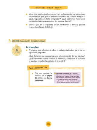 10
minutos
CIERRE (valoración del aprendizaje)
3.
	 Pide que resuelvan la
actividad de la página
85 del libro de Ciencia
y Ambiente.
Tarea a trabajar en casa
	 Menciona que hasta el momento han verficados dos de las posibles
respuestas de por qué se marchitó la planta de Gabriel. Pregunta:
¿qué respuesta nos falta comprobar?, ¿qué podremos hacer para
comprobar la tercera respuesta del papá de Gabriel?
	 Explica que en la siguiente sesión verificarán la tercera posible
respuesta del papá de Gabriel.
En grupo clase
	 Promueve que reflexionen sobre el trabajo realizado a partir de las
siguientes preguntas:
	 ¿Qué factores son necesarios para el crecimiento de las plantas?,
¿qué actividades te han llamado la atención?, ¿crees que lo realizado
te ayuda a cumplir el propósito de la sesión?
Tercer Grado - Unidad 5 - Sesión 12
114
Z_U5_INTEGRADOS_3er grado26-06_Pg21-238.indd 114 30/06/15 02:29
 