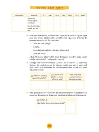 Experiencia Muestras Día 1 Día 2 Día 3 Día 4 Día 5 Día 6 Día 7
1 Semilla de
lenteja regada,
interdiario.
Semilla de lenteja
regada una sola
vez.
	 Pide que observen las dos muestras, sugiere que usen las lupas y regla
para una mejor observación, considera los siguientes criterios de
observación entre las dos muestras:
	 •	 Color del tallo y hojas.
	 •	 Tamaño.
	 •	 Humedad del suelo (si está seco o húmedo).
	 •	 Color del suelo.
	 ¿Qué diferencias observaste?, ¿cuál de las dos muestras pudo crecer
satisfactoriamente?, ¿qué puedes concluir?
	 Entrega una ficha informativa (Anexo 1 de la sesión 12) sobre los
factores de crecimiento de las plantas y pide que lean la parte del
agua. Indica que deben extraer las ideas principales y colocarlas en el
siguiente cuadro:
	 Pide que dibujen los resultados de las observaciones realizadas en su
cuaderno de cuaderno de campo, puedes usar el siguiente esquema:
¿Qué función cumple el
agua en las plantas?
¿Qué ocurre si las
plantas no tienen
suficiente agua?
Todas las plantas
necesitan la misma
cantidad de agua.
		
Experiencia 3
¿Qué factor de crecimiento participó?
Tercer Grado - Unidad 5 - Sesión 13
118
Z_U5_INTEGRADOS_3er grado26-06_Pg21-238.indd 118 30/06/15 02:29
 
