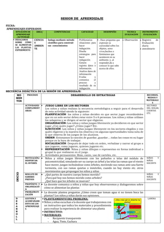 SESION DE APRENDIZAJE
FECHA:
APRENDIZAJES ESPERADOS:
SITUACIÓN DE
APRENDIZAJE
/ACTIVIDAD
ÁREA/ COMPETENCIAS CAPACIDAD DESEMPEÑO TECNICA
EVALUACION
INSTRUMENTO
EVALUACION
▪ INDAGAMOS
SOBRE CÓMO
SE ALIMENTAN
LAS PLANTAS:
EXPERIMENTO
CIENCIA
Y
AMBIEN
TE
Indaga mediante método
científico para construir
sus conocimientos
Problematiza
situaciones para
hacer
indagación.
Diseña
estrategias para
hacer
indagación.
Genera y
registra datos o
información.
Analiza datos de
información
Evalúa y
comunica el
proceso y
resultado de su
indagación
▪ . Hace preguntas que
expresan su
curiosidad sobre los
objetos, seres
vivos,hechos o
fenómenos que
acontecen en su
ambiente; y, al
responder,da a
conocer lo que sabe
acerca de ellos.
• Observación • Registro de
Evaluación
diaria
• anecdotario
SECUENCIA DIDÁCTICA DE LA SESIÓN DE APRENDIZAJE:
MO
MEN
TOS
PROCESOS DESARRROLLO DE ESTRATEGIAS RECURSOS,
MEDIOS Y
MATERIALE
S
ACTIVIDADES
COMPLEMENT
ARIAS
▪ JUEGO LIBRE EN LOS SECTORES
Los niños y niñas realizan la secuencia metodológica a seguir para el desarrollo
de esta actividad siendo la siguiente:
PLANIFICACIÓN: los niños y niñas deciden en que sector jugar recordándoles
que en un solo sector deben estar entre 5 o 6 personas. Los niños y niñas utilizan
los solaperos y se dirigen al sector que eligieron.
ORGANIZACIÓN: Los niños y niñas juegan libremente ya decidieron en que sector
jugar ¿Con quién jugar? ¿Cómo jugar? Etc.
EJECUCIÓN: Los niños y niñas juegan libremente en los sectores elegidos y con
quién eligieron y la maestra los observa y en algunas oportunidades toma nota de
lo que observa de los juegos de los alumnos.
ORDEN: Entonamos la canción de guardar, guardar….todas las cosas en su lugar
porque es la hora de trabajar.
SOCIALIZACIÓN: Después de dejar todo en orden, verbalizar y narrar al grupo a
que jugaron, como jugaron, quienes jugaron etc.
▪ REPRESENTACIÓN: Niños y niñas dibujan o representan en forma individual o
grupal lo que realizaron en el juego.
▪ Actividades permanentes: Rezo, canto, uso de carteles, etc.
SECTORES
DEL HOGAR,
CUENTOS
ETC
INICIO
MOTIVACIÓN/
DESPERTAR
EL INTERÉS
▪ Niños y niñas juegan libremente con los pañuelos o telas del módulo de
psicomotricidad, simulando ser su cuerpo un árbol y las telas las ramas que el viento
hace mover, juegan inclinándose como árboles, moviendo sus ramas ante una fuerte
tormenta, con sus ramas quietas o inmóviles, cuando no hay viento etc. otros
movimientos que propongan los niños y niñas
NIÑOS Y
NIÑAS
DOCENTE
RESCATE DE
SABERES
PREVIOS
▪ ¿Qué partes de nuestro cuerpo hemos movido?
¿Para qué hoy nos hemos movido como arboles?
¿Qué hace que los árboles se muevan?
NIÑOS Y
NIÑAS
DOCENTE
PROPÓSITO Y
ORGANIZACIÓ
N
▪ La docente comunica a niños y niñas que hoy observaremos y dialogaremos sobre
cómo se alimentan las plantas
PROBLEMATI
ZACIÓN
▪ La docente plantea preguntas ¿Cómo creen que toman agua si no tienen boca las
plantas? Los niños y niñas darán sus opiniones.
D
E
S
A
R
R
O
L
L
GESTIÓN Y
ACOMPAÑAMI
ENTO DE LOS
APRENDIZAJE
S
▪ PLANTEAMIENTO DEL PROBLEMA:
▪ Niños y niñas escuchan a la docente que trabajaremos con
un instructivo que indica los materiales y procedimiento
para realizar la experiencia de alimentar una planta
▪ INSTRUCTIVO:
▪ MATERIALES:
- Recipiente transparente
- Agua, Tinte, Cuchara
LAMINA
 