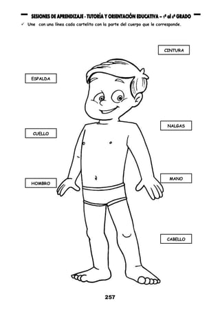 257
 Une con una línea cada cartelito con la parte del cuerpo que le corresponde.
ESPALDA
CUELLO
HOMBRO
CINTURA
NALGAS
MANO
CABELLO
 