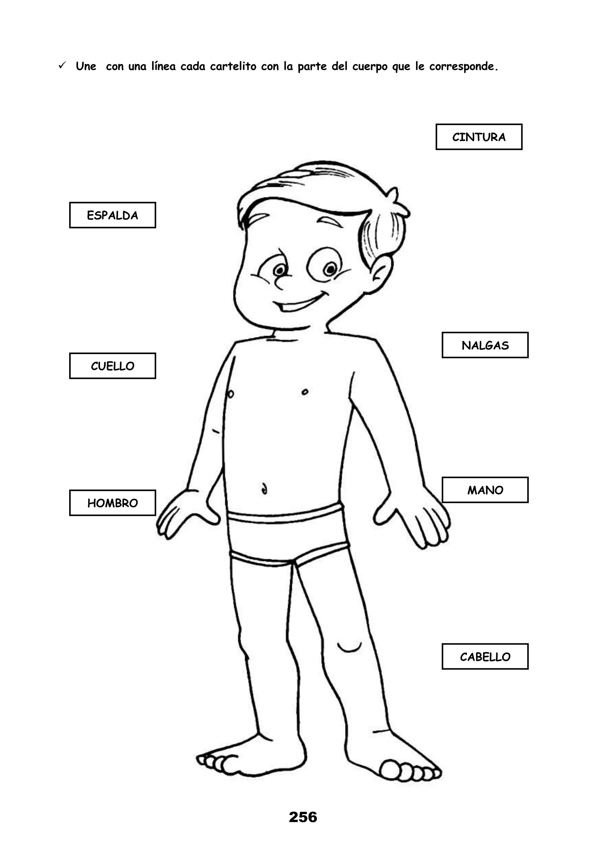 256
 Une con una línea cada cartelito con la parte del cuerpo que le corresponde.
ESPALDA
CUELLO
HOMBRO
CINTURA
NALGAS
MANO
CABELLO
 