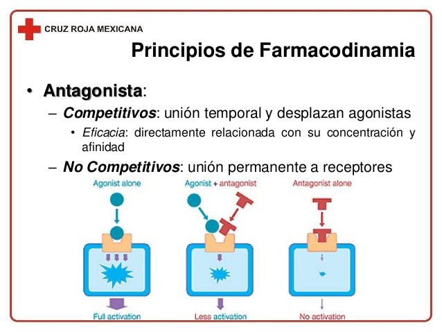 Sesion farmacologia TUM-Intermedio