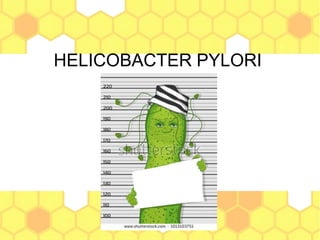 HELICOBACTER PYLORI
 