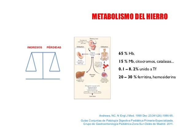 Anemia ferropénica en pedi