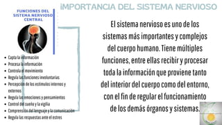 Elsistemanerviosoesunodelos
sistemasmásimportantesycomplejos
delcuerpohumano.Tienemúltiples
funciones,entreellasrecibiryprocesar
todalainformaciónqueprovienetanto
delinteriordelcuerpocomodelentorno,
conelfinderegularelfuncionamiento
delosdemásórganosysistemas.
iMPORTANCIA DEL SISTEMA NERVIOSO
Captalainformación
Procesalainformación
Controlaelmovimiento
Regulalasfuncionesinvoluntarias
Percepcióndelosestimulosinternosy
externos
Regulalasemocionesypensamientos
Controldelsueñoylavigilia
Comprensióndellenguajeylacomunicación
Regulalasrespuestasanteelestres
 