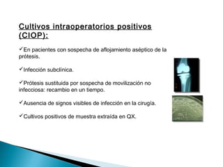 Cultivos intraoperatorios positivos
(CIOP):
En pacientes con sospecha de aflojamiento aséptico de la
prótesis.
Infección subclínica.
Prótesis sustituida por sospecha de movilización no
infecciosa: recambio en un tiempo.
Ausencia de signos visibles de infección en la cirugía.
Cultivos positivos de muestra extraída en QX.
 
