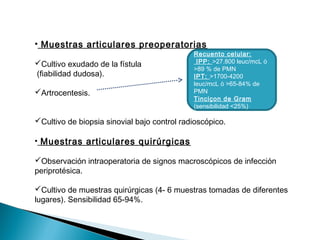 • Muestras articulares preoperatorias
Cultivo exudado de la fístula
(fiabilidad dudosa).
Artrocentesis.
Cultivo de biopsia sinovial bajo control radioscópico.
• Muestras articulares quirúrgicas
Observación intraoperatoria de signos macroscópicos de infección
periprotésica.
Cultivo de muestras quirúrgicas (4- 6 muestras tomadas de diferentes
lugares). Sensibilidad 65-94%.
Recuento celular:
IPP: >27.800 leuc/mcL ó
>89 % de PMN
IPT: >1700-4200
leuc/mcL ó >65-84% de
PMN
Tinciçon de Gram
(sensibilidad <25%)
 