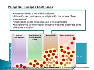 Patogenia: Biocapas bacterianas
•Impermeabilidad a los antimicrobianos
•Alteración del crecimiento y multiplicación bacteriana (“fase
estacionaria”)
•Inactivación de los antibióticos en el microambiente
•Transferencia de información genética mediante plásmidos entre
diferentes bacterias
Resistencia fenotípica a los antimicrobianos:
Se requieren dosis mayores
Limitación de los antibiogramas
Las bacteria recuperan la sensibilidad cuando se desprenden de la
biocapa.
Vila J et al. Bases moleculares de la adherencia microbiana sobre materiales protésicos. Papel de las biocapas en las infecciones asociadas a los
materiales protésicos. Enferm Infecc Microbiol Clin 2008;26(1):48-55.
 