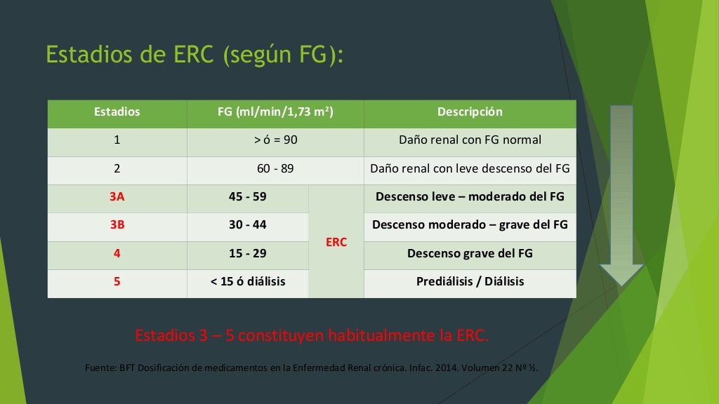 Ajuste de tratamientos en Insuficiencia Renal Ajuste de tratamientos en Insuficiencia Renal