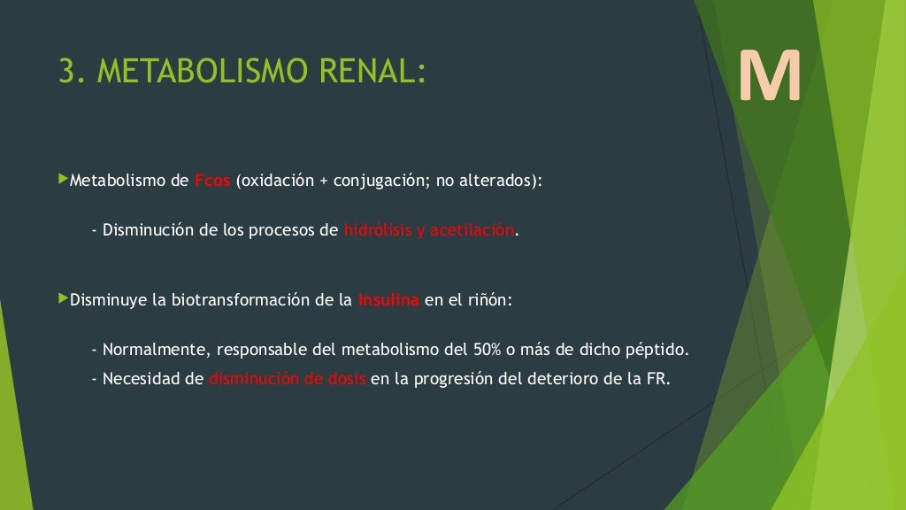 Ajuste de tratamientos en Insuficiencia Renal Ajuste de tratamientos en Insuficiencia Renal
