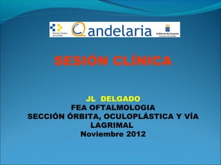 SESIÓN CLÍNICA

            JL DELGADO
         FEA OFTALMOLOGIA
SECCIÓN ÓRBITA, OCULOPLÁSTICA Y VÍA
             LAGRIMAL
           Noviembre 2012
 