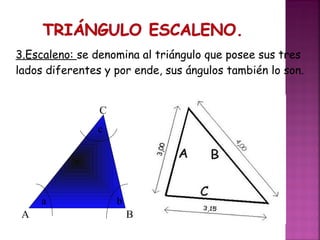 3.Escaleno: se denomina al triángulo que posee sus tres
lados diferentes y por ende, sus ángulos también lo son.
C
c

a
A

b
B

 